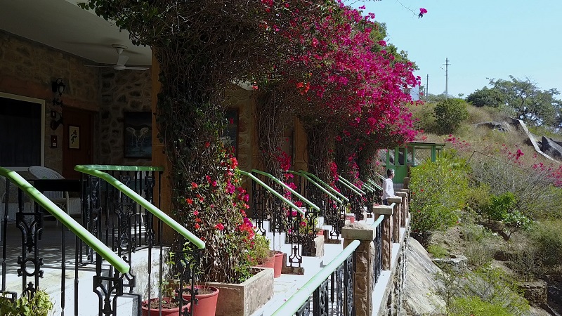 Connaught House Mount Abu Rajasthan heritage hotel photo of terrace bungalows and flowers