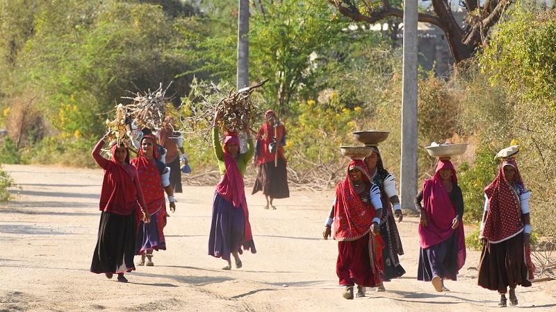 Varawal Leopard Camp Bera Rajasthan photo of tribal women wood collecting